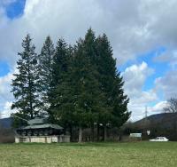 T-34 + Škoda Favorit